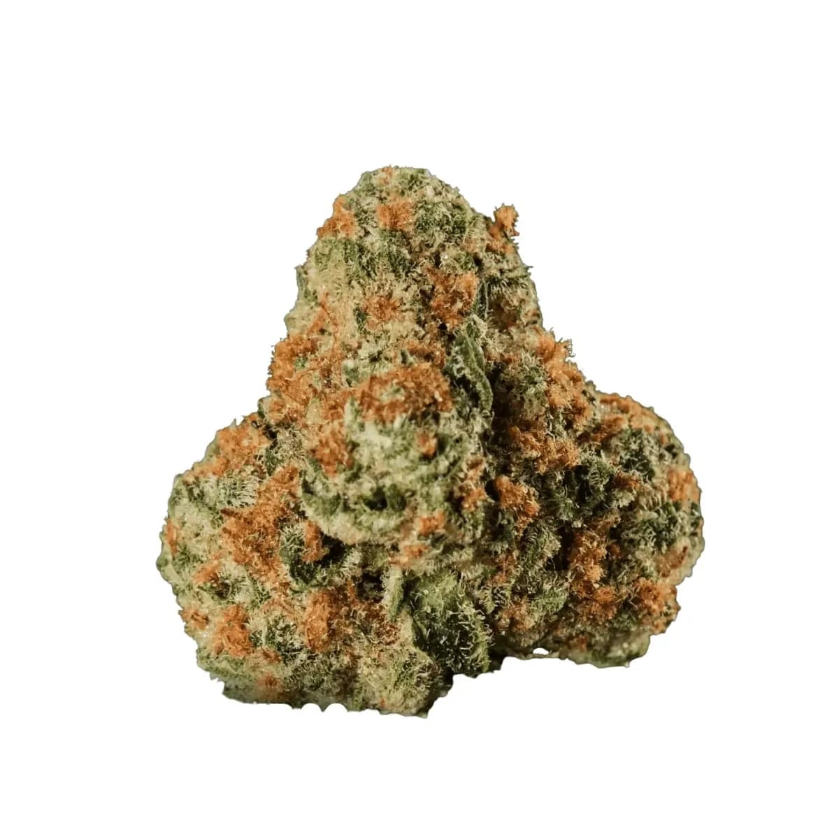 Huala 30/1 UK WTR - Waffle Truffle