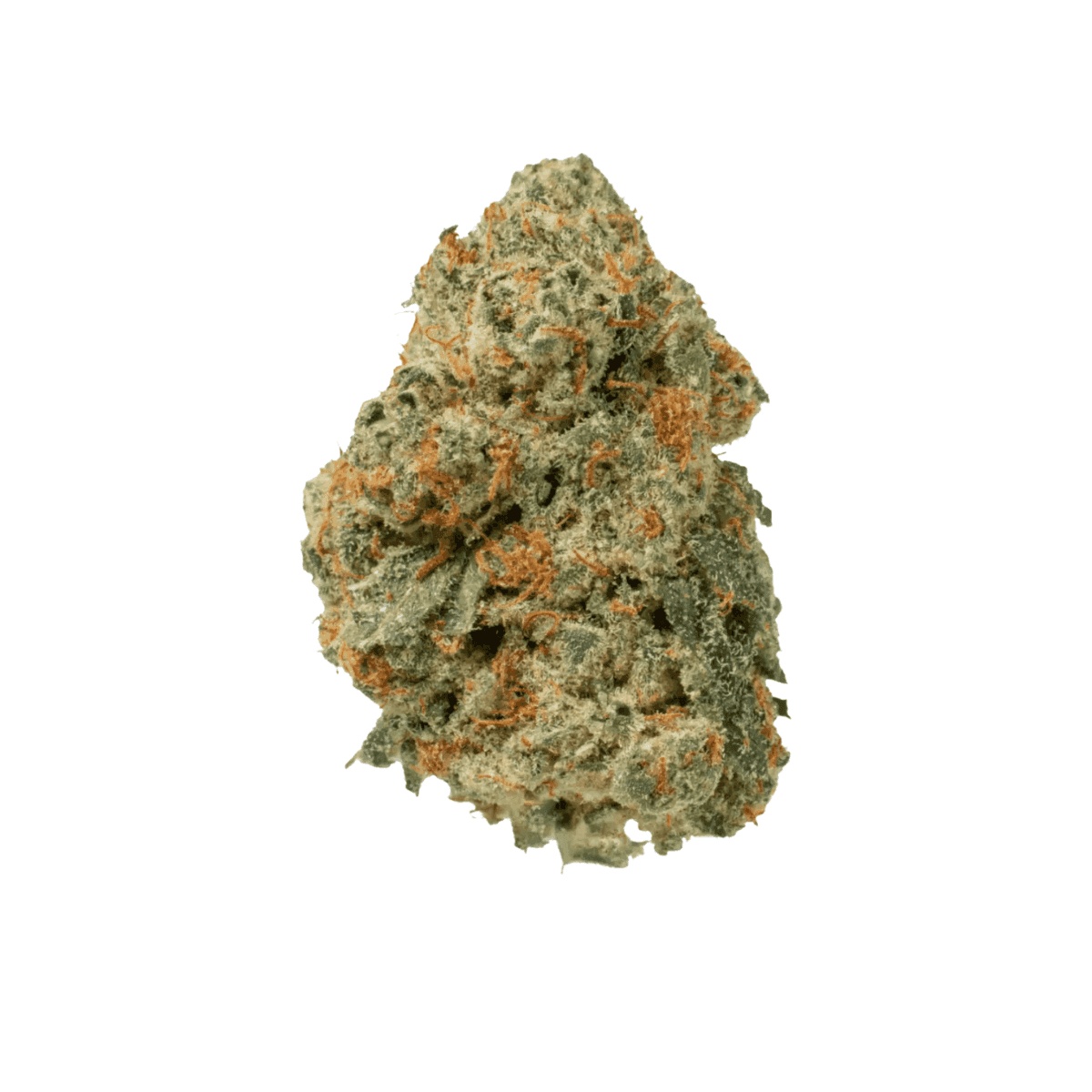 Medical Saints 27/1 Lemonatti