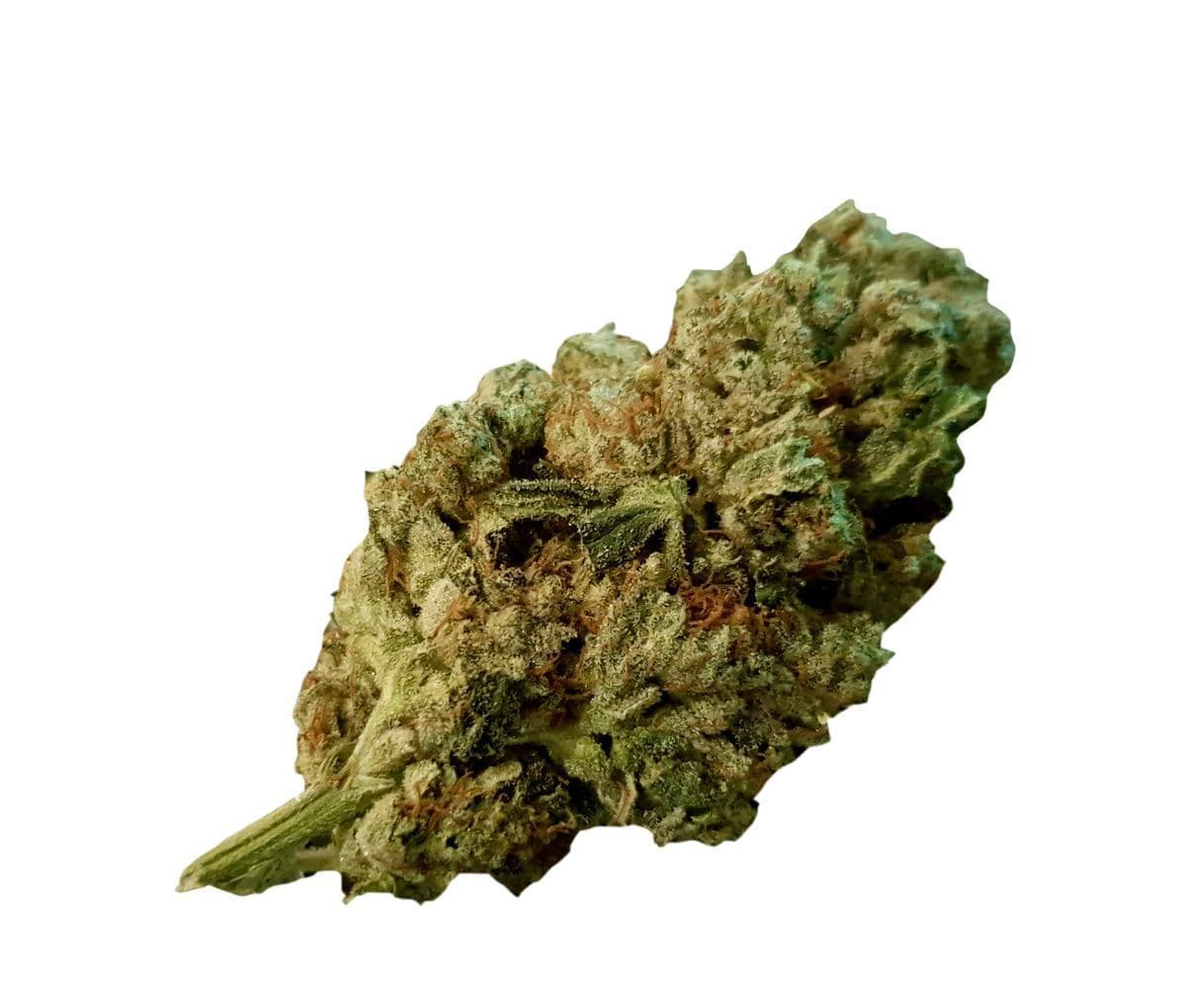 Remexian 30/1 SIU GG4 - Gorilla Glue