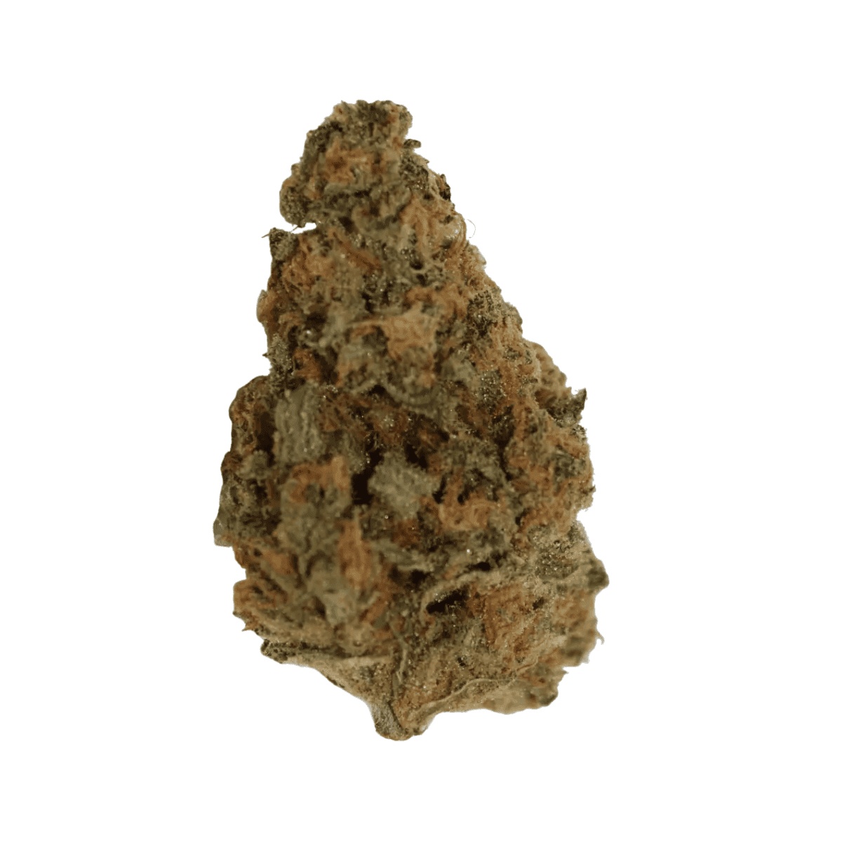 Cannamedical Sativa forte - Super Lemon Haze