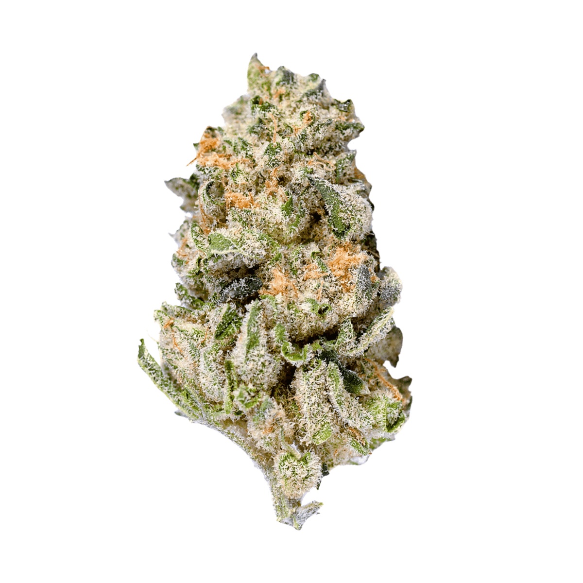 Eufloria 33/1 LBA - LA Baker Eufloria 33/1 LBA - LA Baker