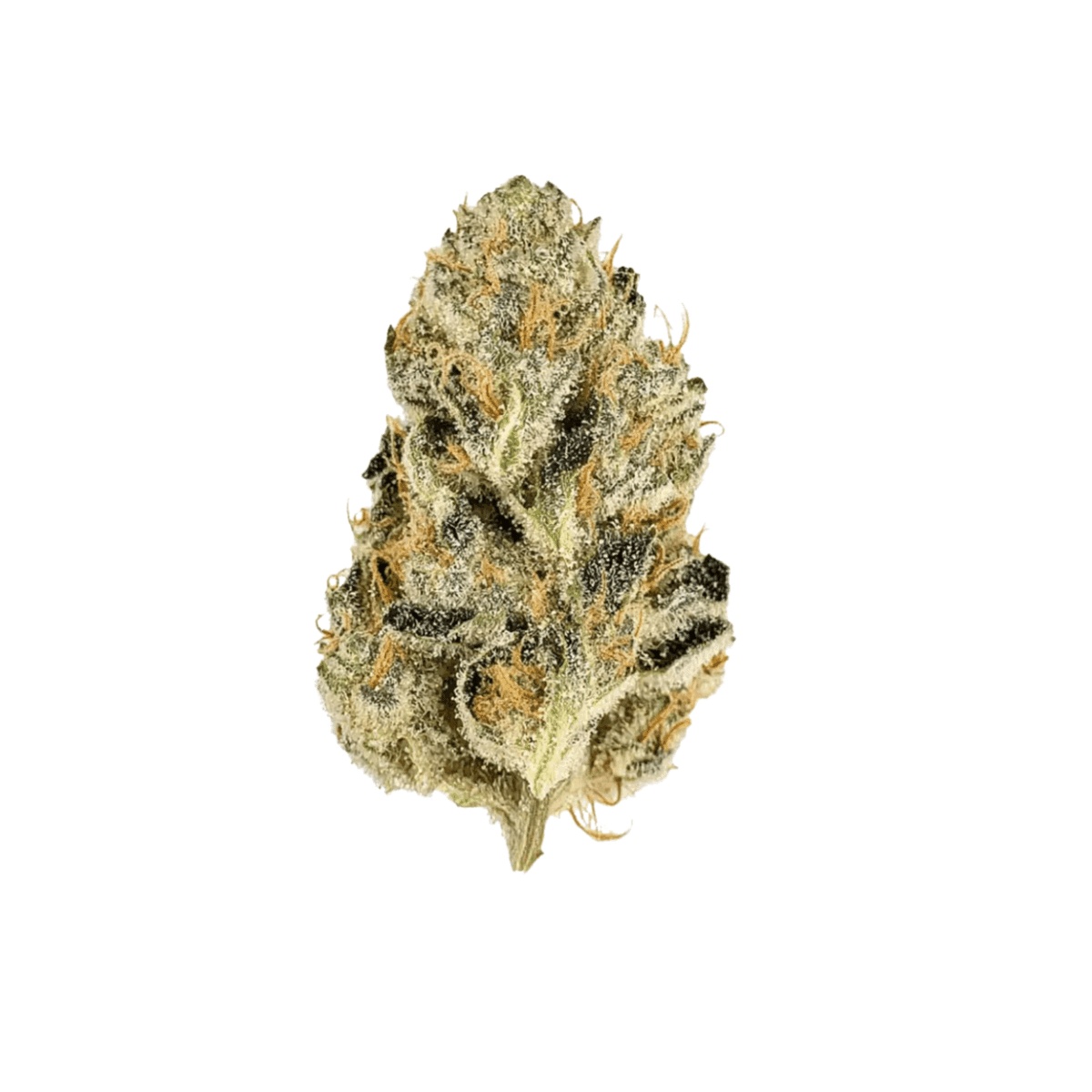mediproCan Frosty Peaks 28/1 TS - The Soap