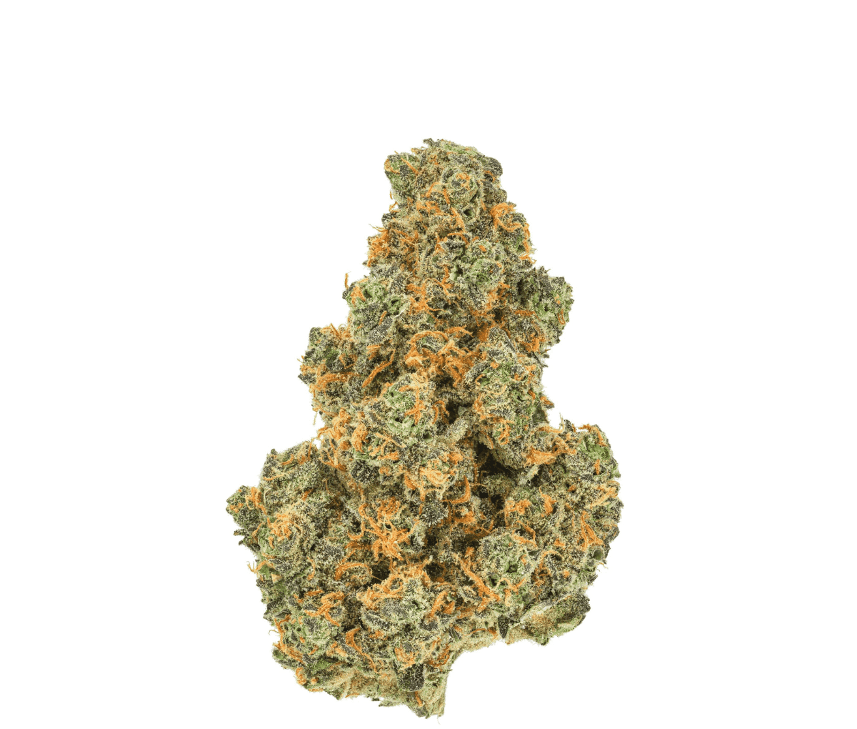 Pedanios 31/1 PND-CA - Pink Diesel