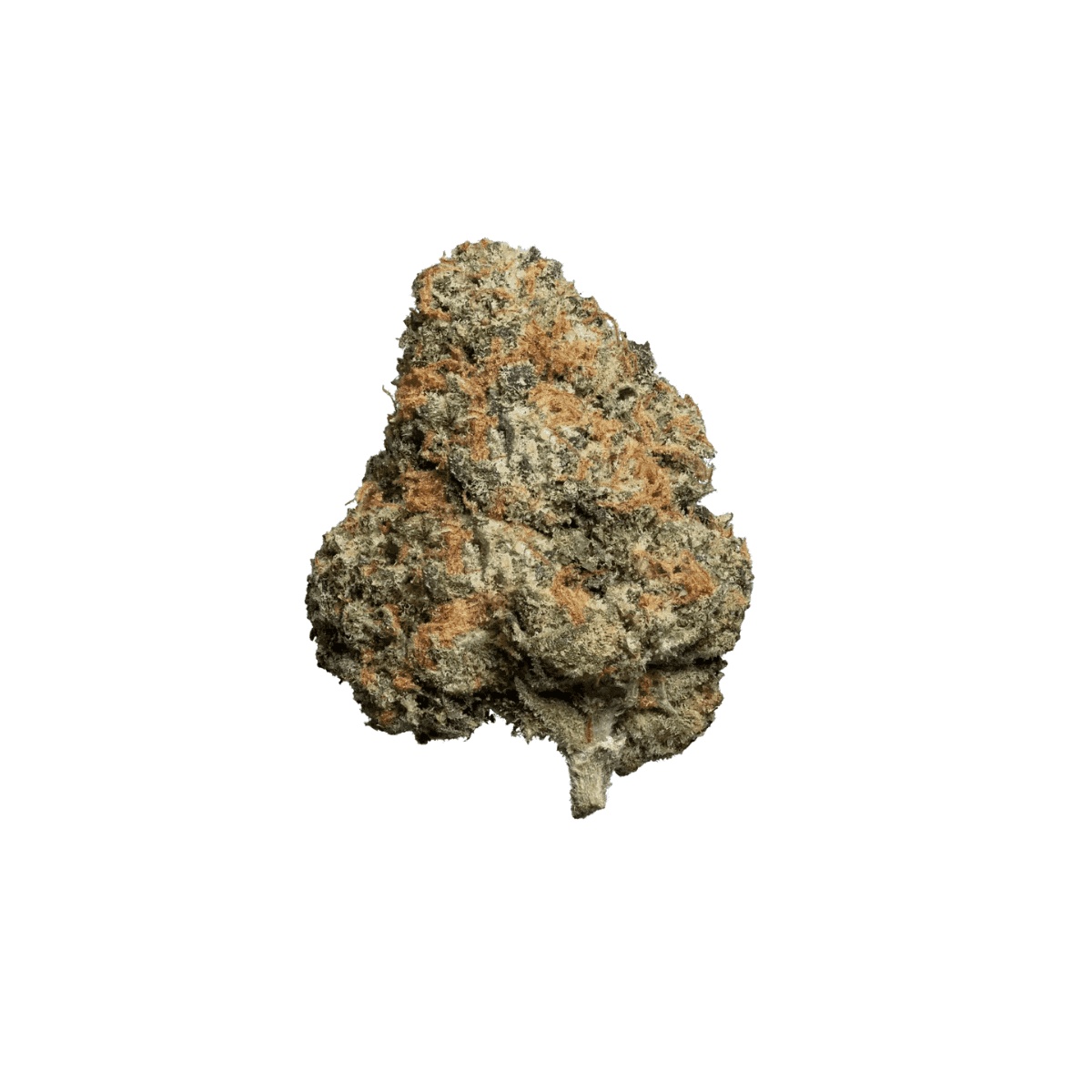 enua 30/1 PS3 JFG CA - Jet Fuel Gelato enua 30/1 PS3 JFG CA - Jet Fuel Gelato