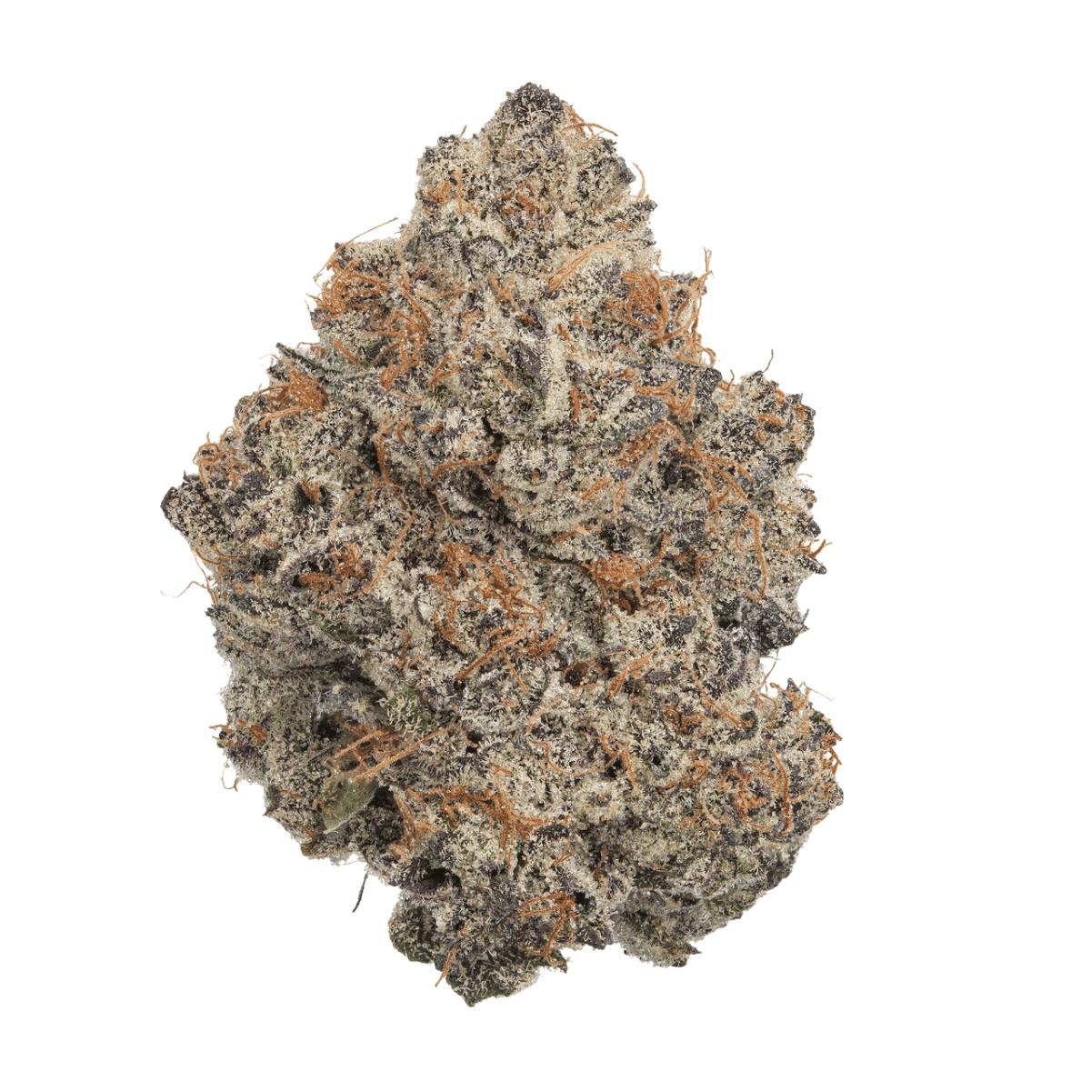 enua 30/1 SF4 CA CGG - Cherry Gelato Gushers enua 30/1 SF4 CA CGG - Cherry Gelato Gushers