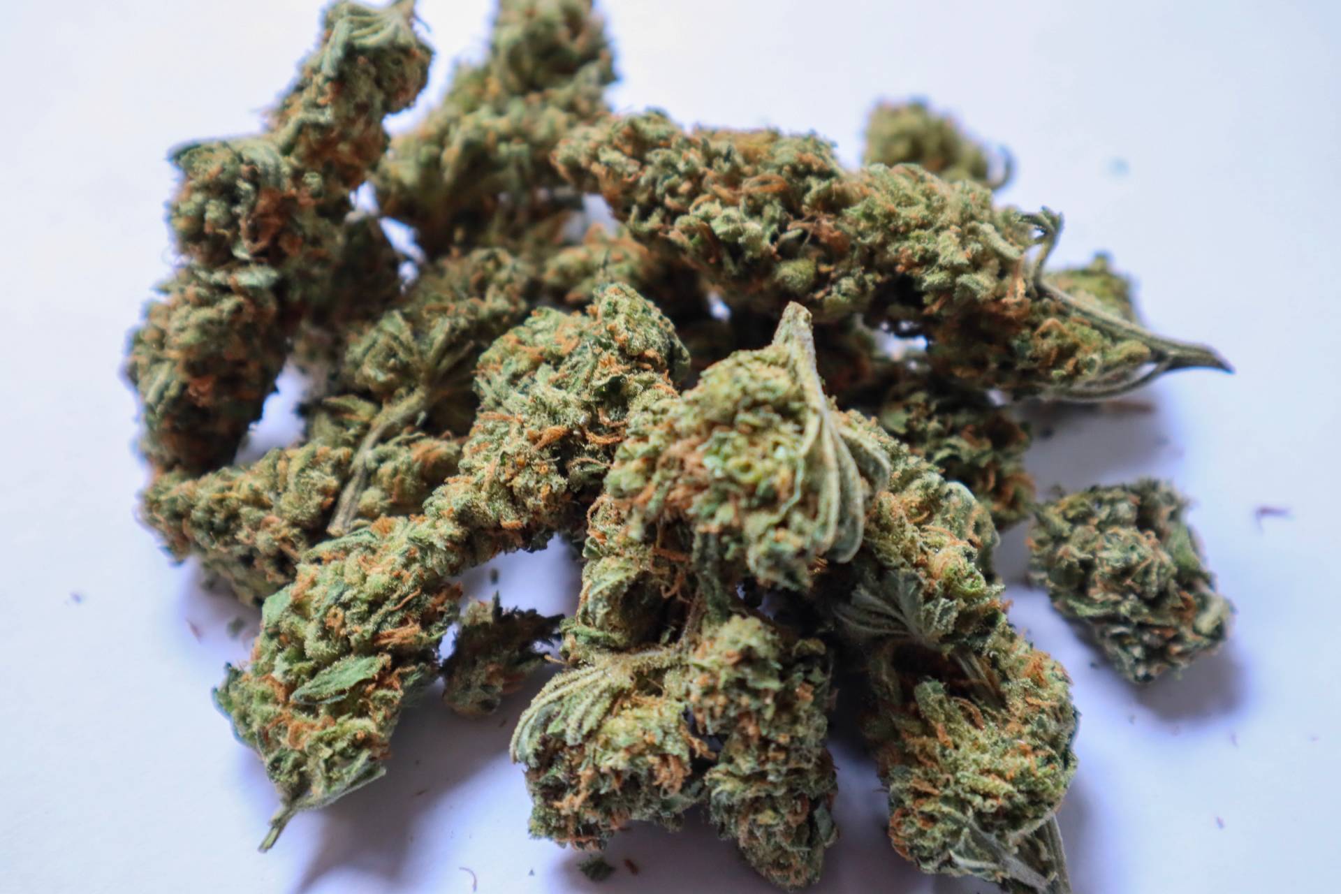 Haze,Skunk und Kush Haze,Skunk und Kush