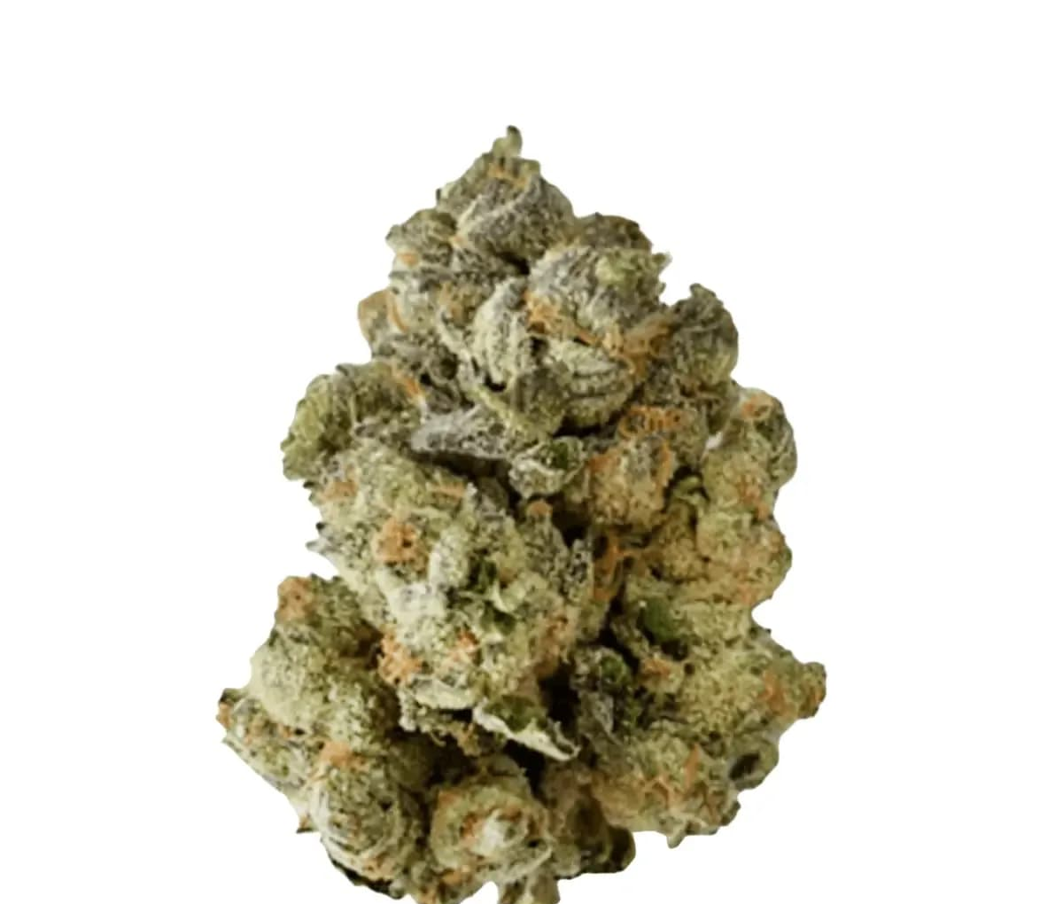 BC Green 27/1 HGH
