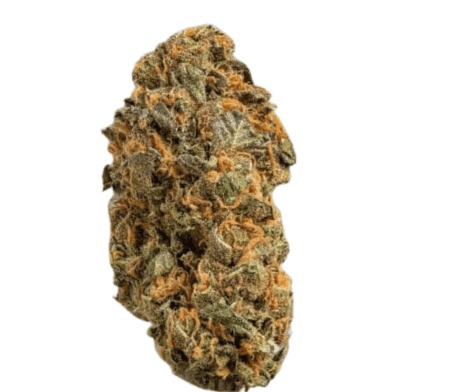 Remexian 27/1 PRT MTP - Mokum's Tulip Remexian 27/1 PRT MTP - Mokum's Tulip