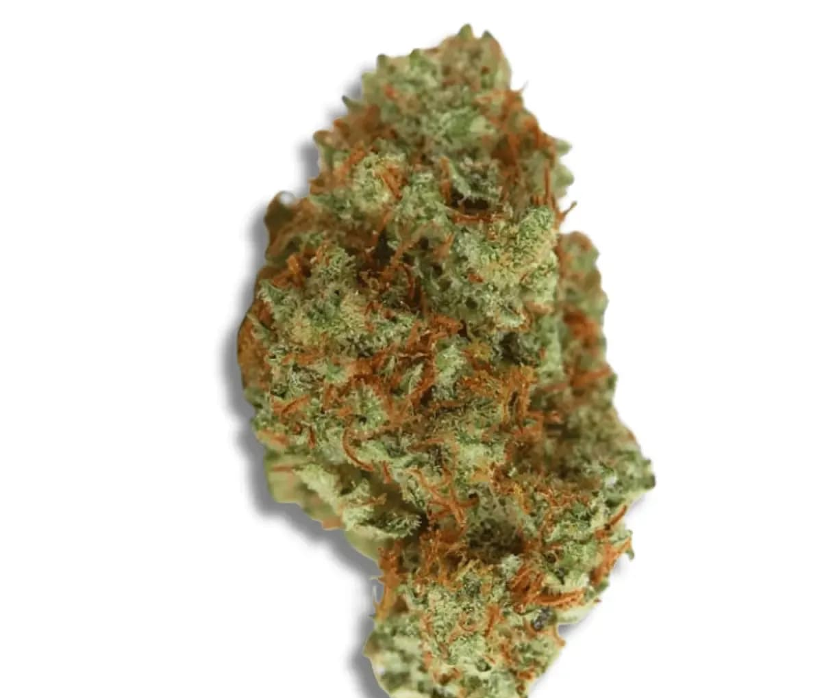 CherryCo 23/01 GOG-K - Gelato OG CherryCo 23/01 GOG-K - Gelato OG