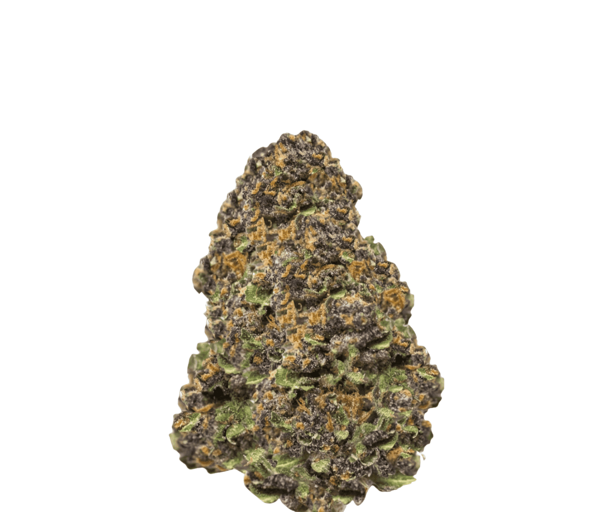 Cannamedical Hybrid Forte BC - Lemon Cookies