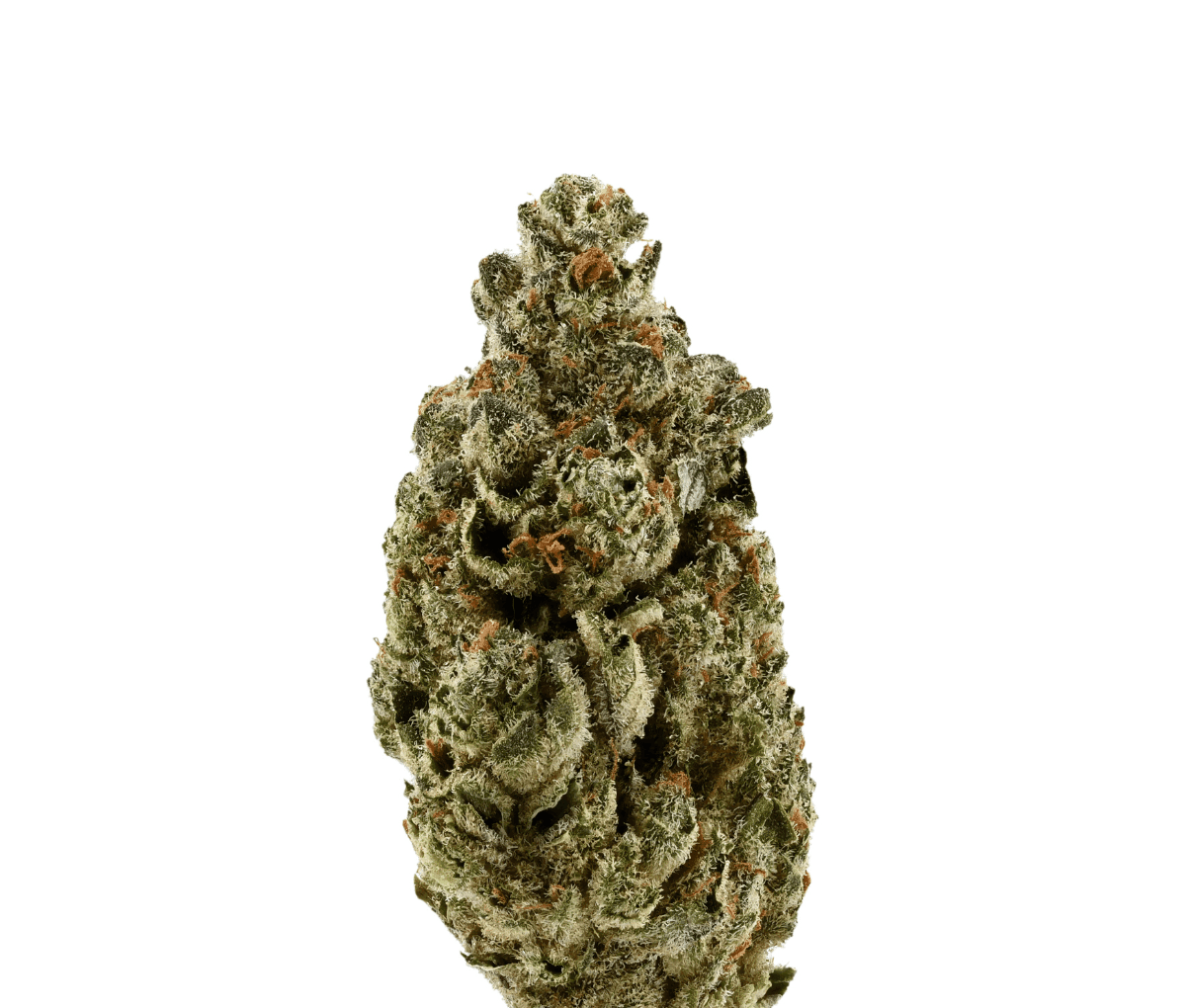 Demecan Core Illume 18:01 - Vanilla Ice