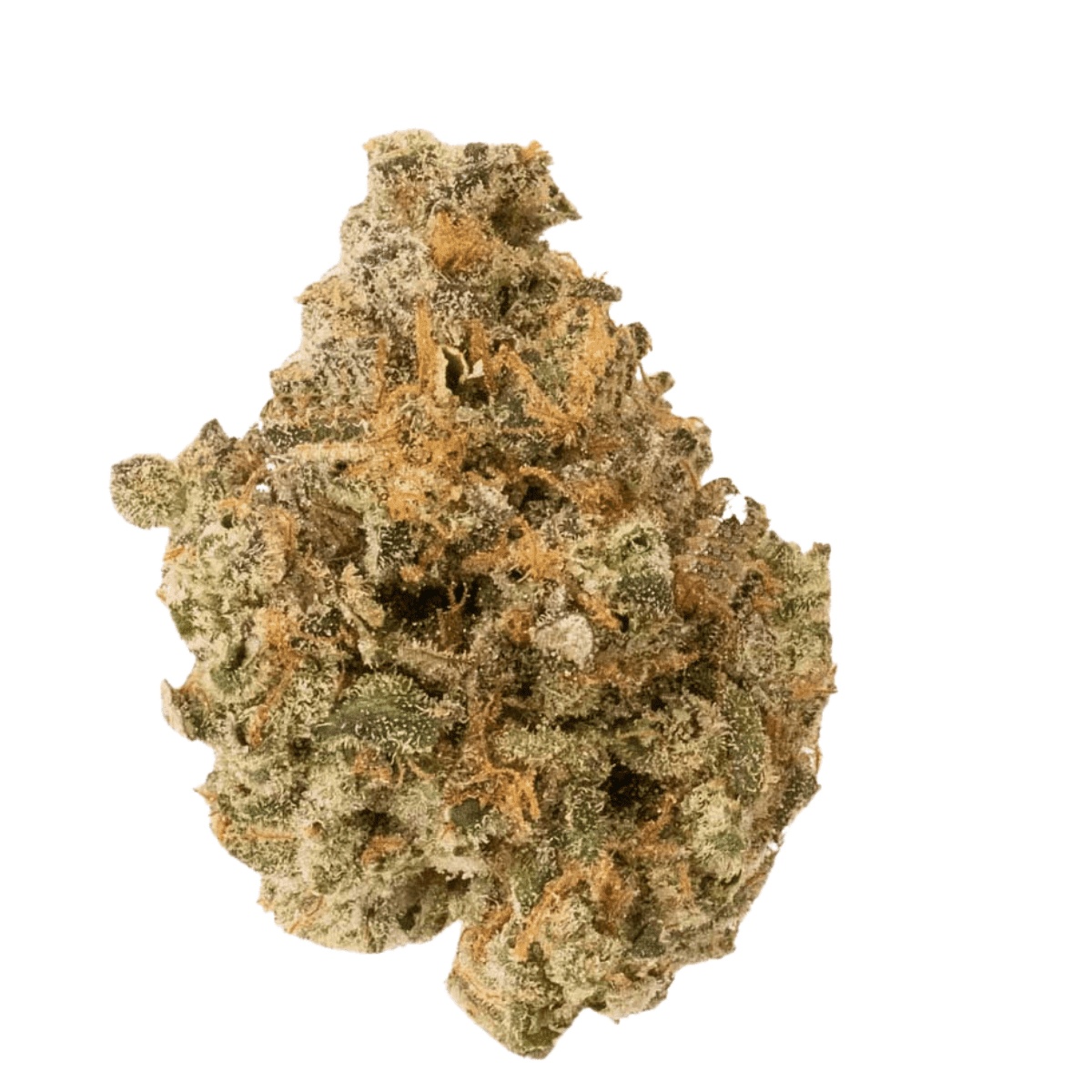 Medical Saints 15/1 GPA Gary Payton