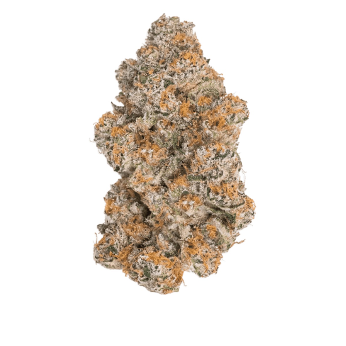 Luana 28/1 - Durban Poison Luana 28/1 - Durban Poison