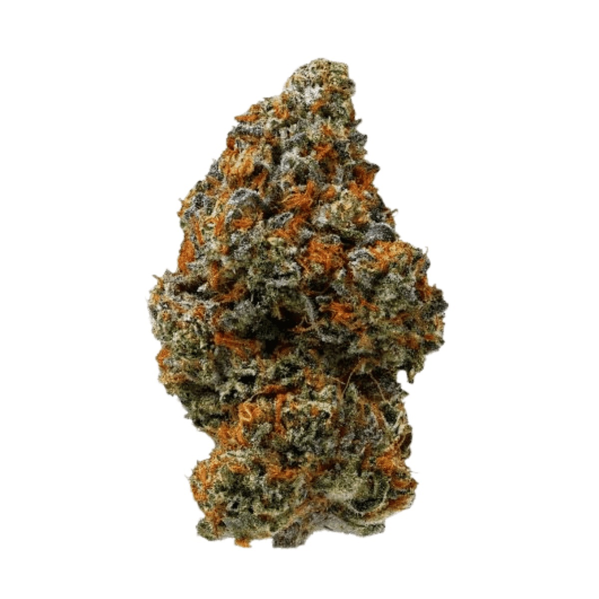 Island Genetics KOGP 27/1 - Kool Grapes Island Genetics KOGP 27/1 - Kool Grapes