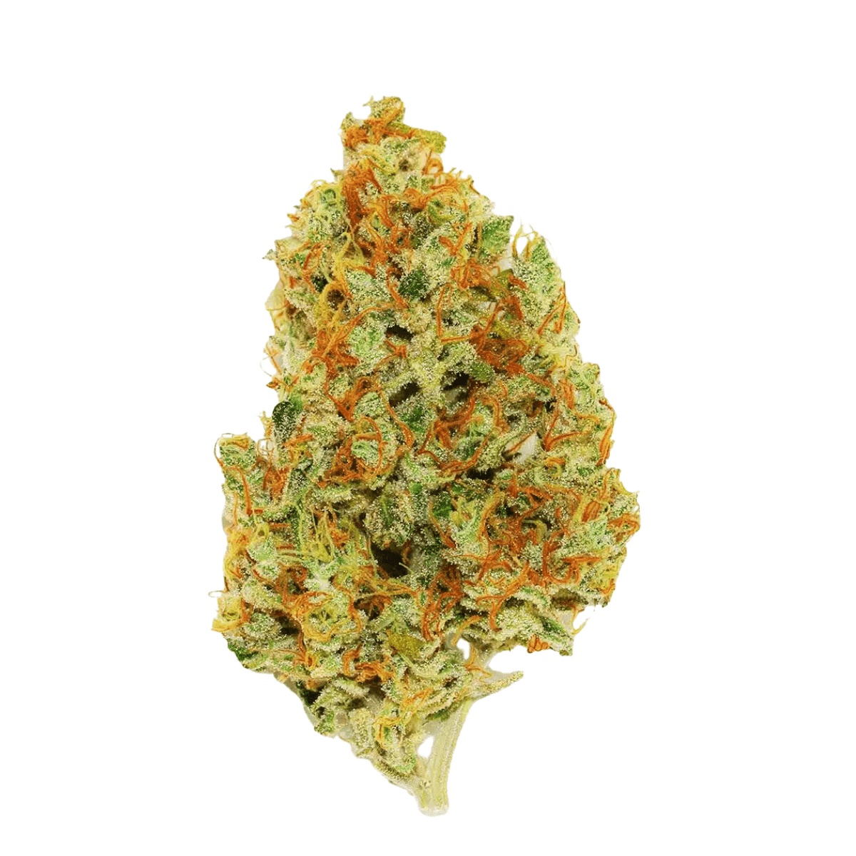 CRF GBRC 26/1 Glitterbomb x Rainbow Cheddar