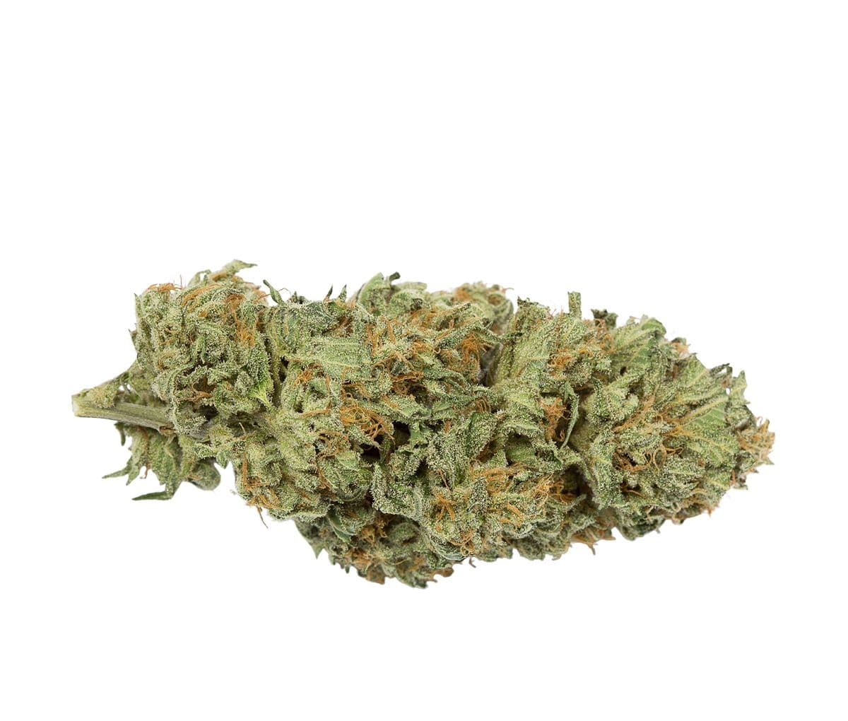 Demecan Typ 1 - Bubba Kush Demecan Typ 1 - Bubba Kush