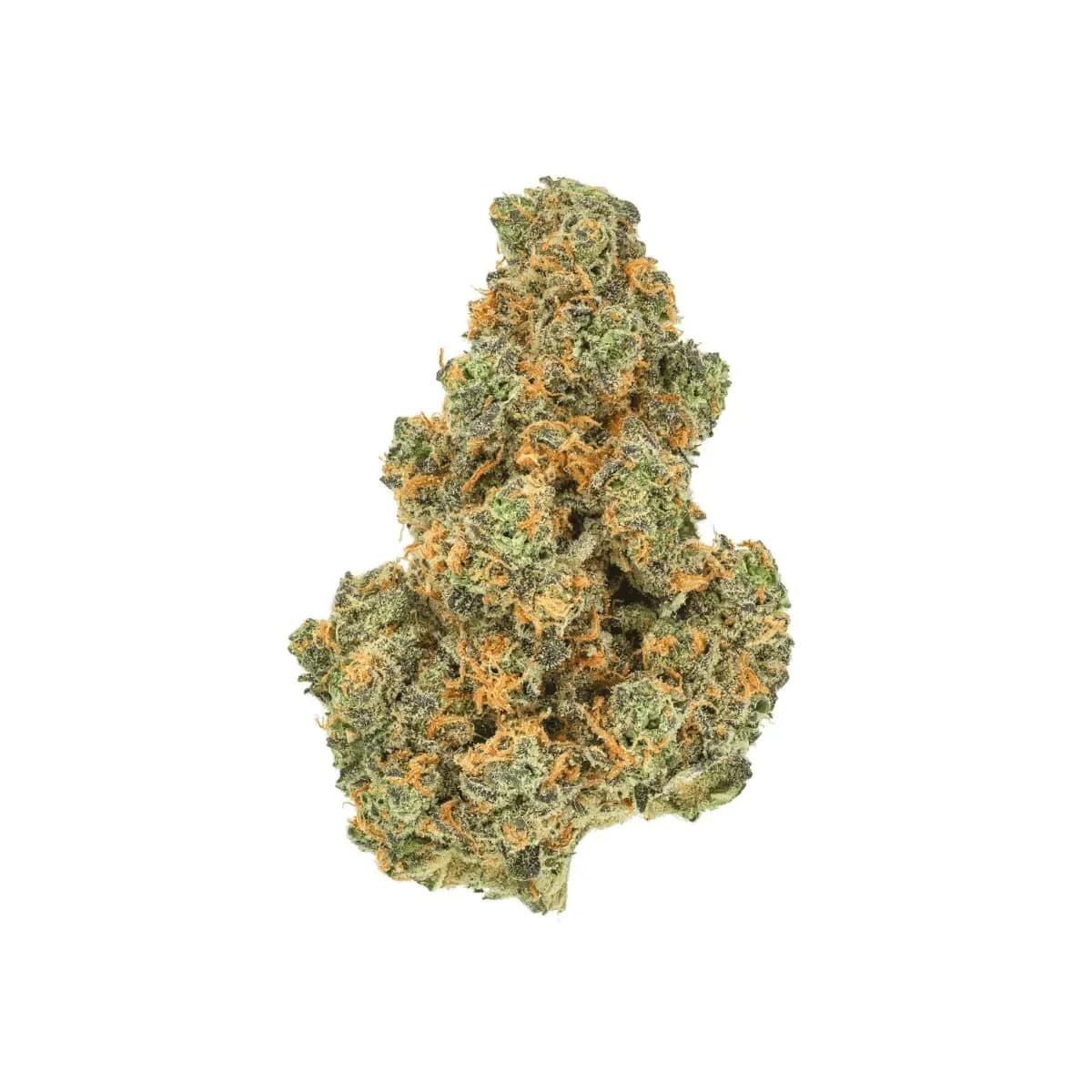 Pedanios 29/1 PND Pink Diesel Pedanios 29/1 PND Pink Diesel