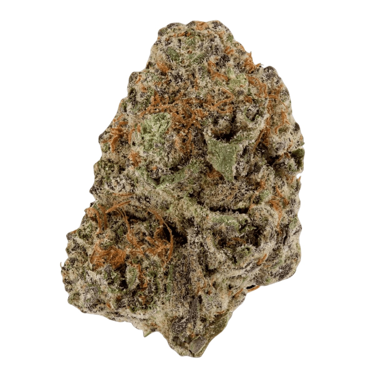 Eufloria 30/1 GFZ - Goofiez 