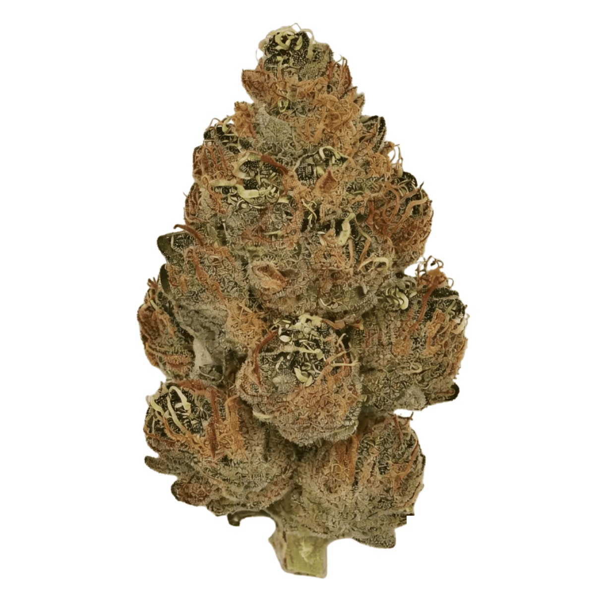 Huala 30/1 CA BKM - Banana Kush Mints Huala 30/1 CA BKM - Banana Kush Mints