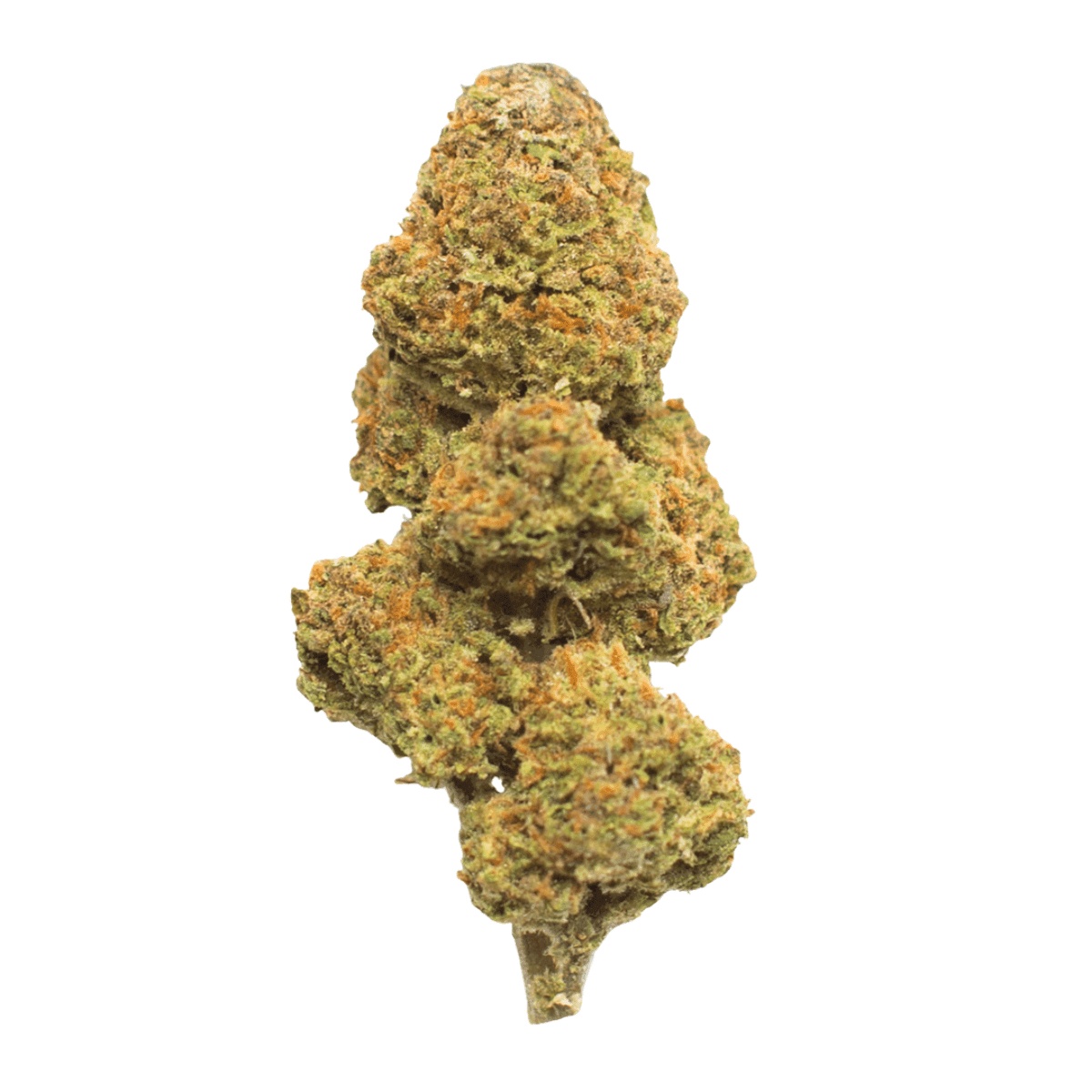 Slouu 30/1 CBC CA - Citron Biker Cookies