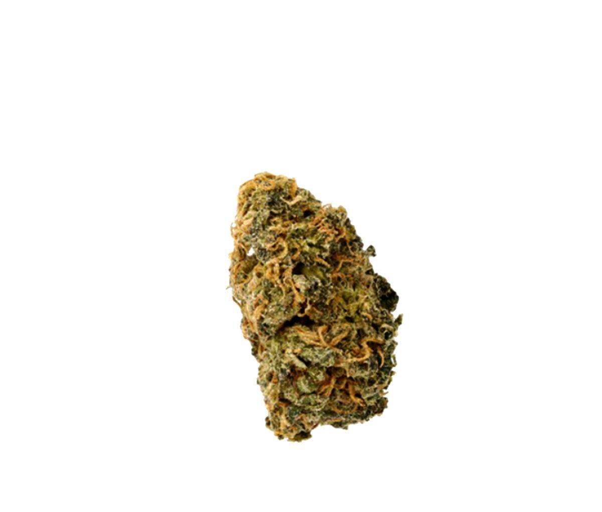 Cannamedical Sativa Forte NM - Gelato Dream