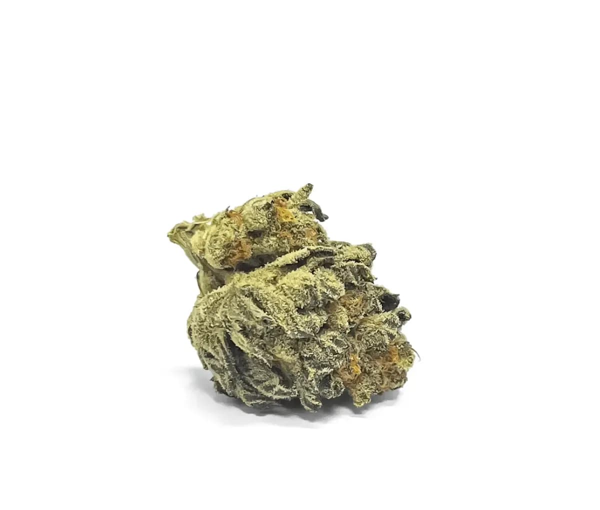 Cannamedical Indica Forte AU LKC - LA Kush Cake Cannamedical Indica Forte AU LKC - LA Kush Cake