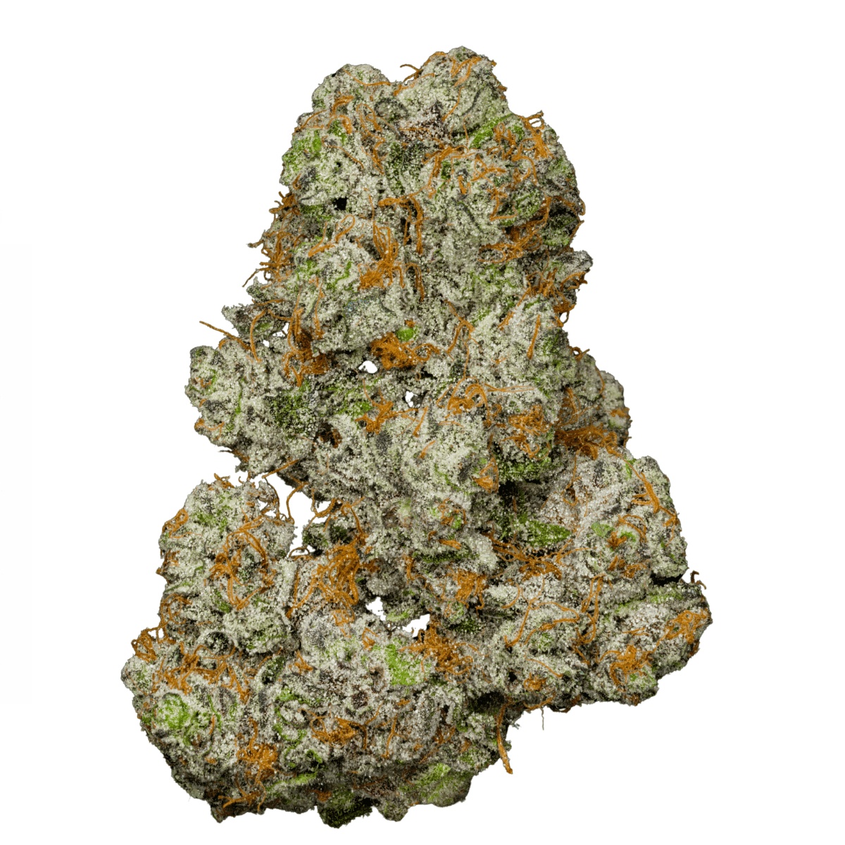 Luana 20/1 GSC - Girl Scout Cookies Luana 20/1 GSC - Girl Scout Cookies