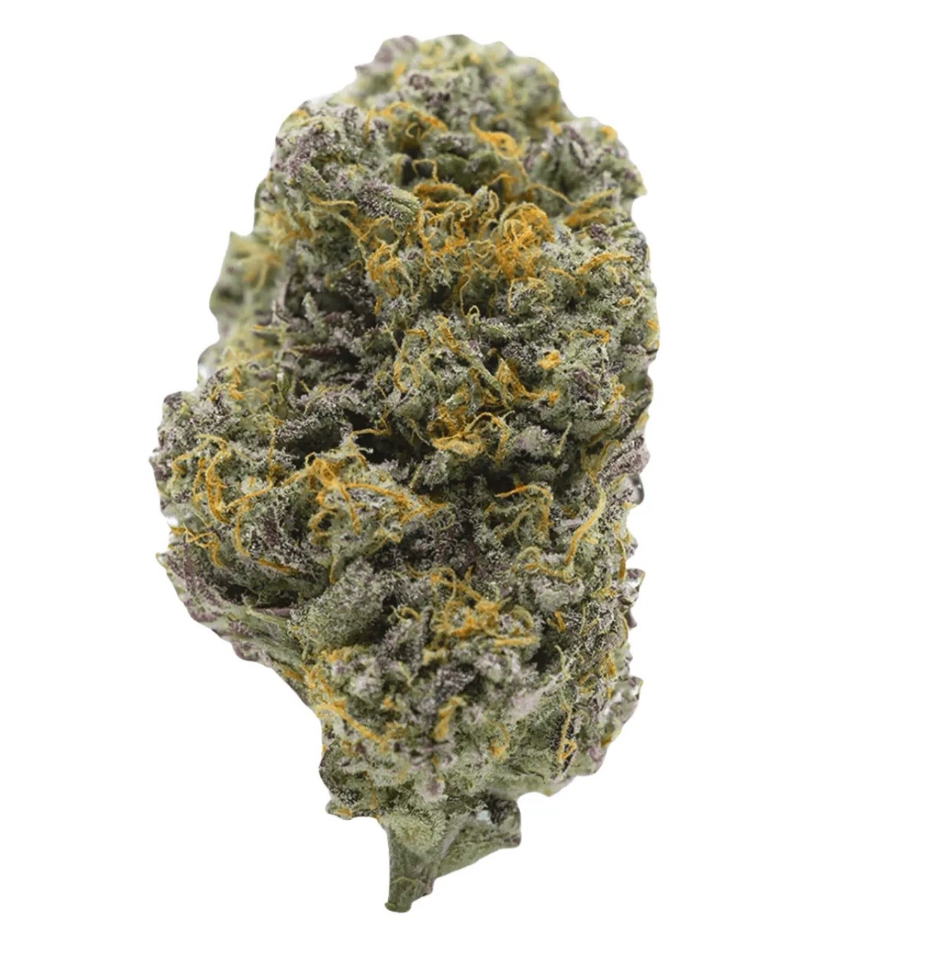 Barongo 26/1 VPR Lemon Viper Mimosa Barongo 26/1 VPR Lemon Viper Mimosa