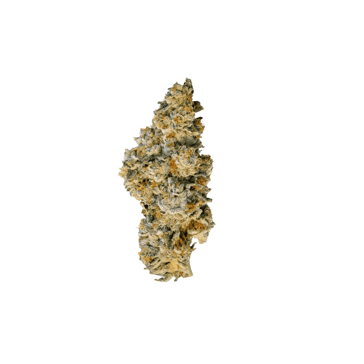 Demecan Craft Aloha 34/1 - 98ALOHA WHITE WIDOW X TRAINWRECK